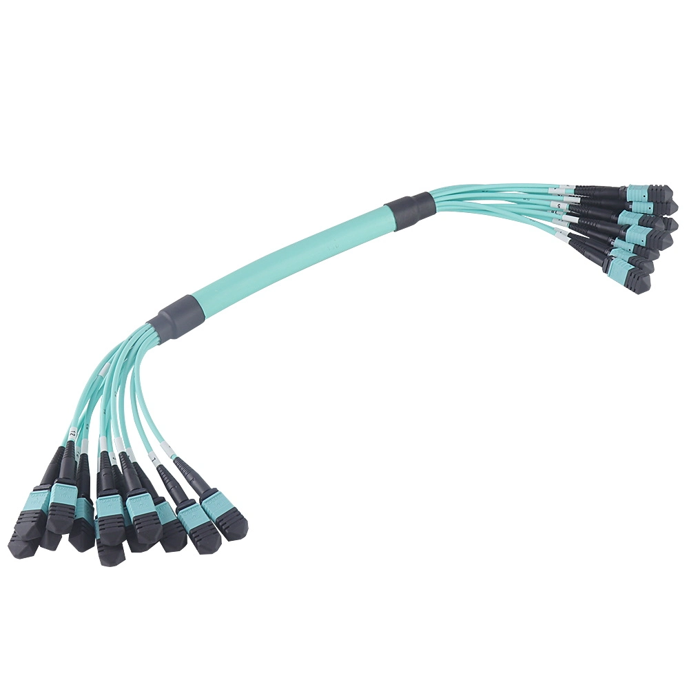 MPO/MTP-MPO/Mpt Patchcord mm/Sm Om2 (male/female)